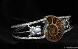 Ammonite Bracelet #646-1